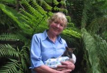 Nowhere to run for wildlife