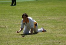 Yabbies tossed in the deep end