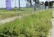 Feud grows over nature strip