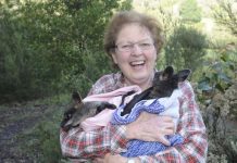 Just wild about grants