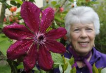 Fantasy garden welcome