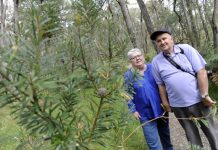 Interactive trail for Mt Cannibal