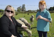 Social net has thieves on the lamb