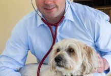 Heartworm raises ugly head