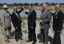 Right water… right job