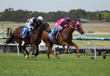 Paul and Tracey steal the show