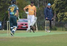 Tail wags, doggy at wicket