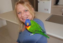 If the shoe fits …