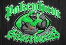 Warriors hunt down Silverbacks