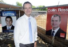 Basking in Bass Labor swing