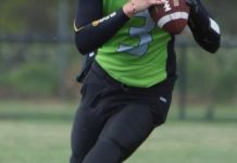 Silverbacks powered by Jetts