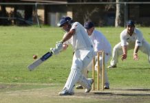 Spoljaric hits the roof