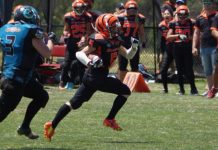 Diamonds lodge in Kestrels’ gullet