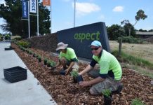 New look to old Aspect