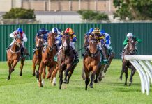 Fun run gets serious