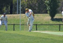 Cougars jam it into reverse