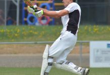 Tigers’ bite… pure Bliss