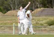 Seagulls… and from a great height