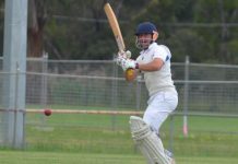 Skippers perch sides high