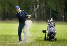 Where’s the birdie