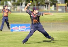 Shooting stars show their sparkle