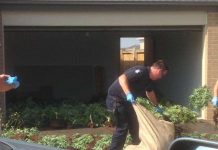 Big haul from crop house raid