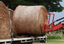 Milk maximum feed benefits