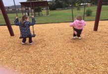 Bark no lark in the park