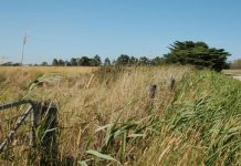 Fire hazards, a big worry