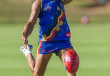 Demon ally an All-Stars