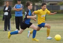 Young cats take action