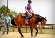 Centre in the saddle