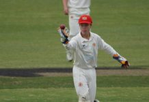 Swans handle the Heat