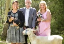 Show time, no kidding