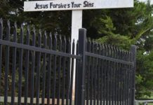 Still very cross over tree damage