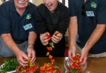 Health conscious Shed sizzle