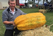 Marrow’s in the blood