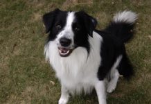 Lovin’ life to the Max