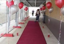 School’s new celebrities