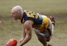 Old dog, but new tricks