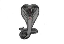 Saint marches in… to play with Cora Lynn