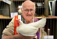 Pakenham Show Results