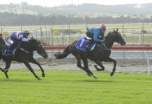 Hear the thunder rumble