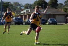 Top-50 Rays the standard