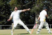 Bullants emerge from deep hole