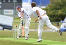 Seagulls reach crazy heights