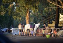 A canvas comes to life