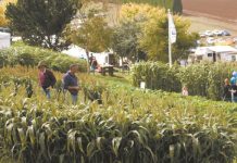 Grass is always greener