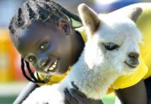 Show leaves indelible mark