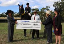 Hands down best horses